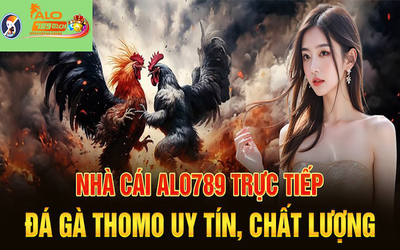 Những nổi bật của sảnh Đá gà ALo789